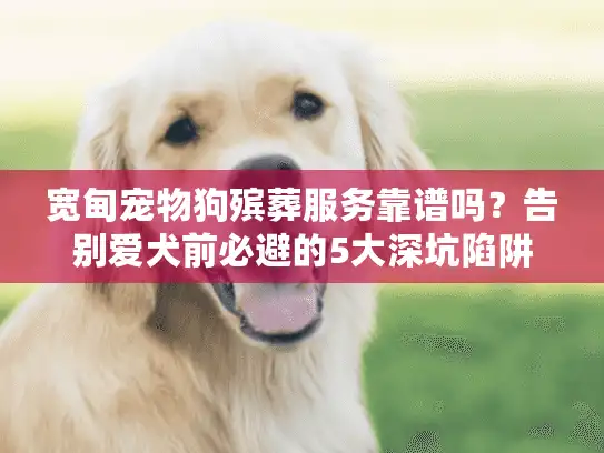 宽甸宠物狗殡葬服务靠谱吗？告别爱犬前必避的5大深坑陷阱