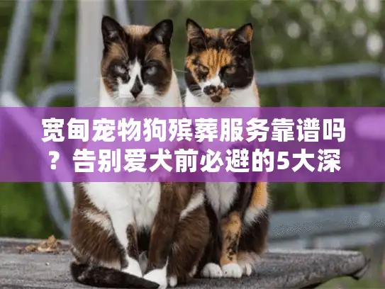 宽甸宠物狗殡葬服务靠谱吗？告别爱犬前必避的5大深坑陷阱