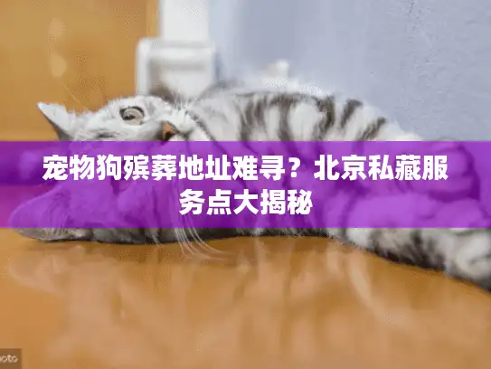 宠物狗殡葬地址难寻？北京私藏服务点大揭秘