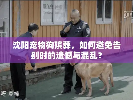 沈阳宠物狗殡葬，如何避免告别时的遗憾与混乱？