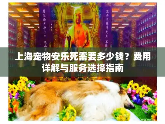 上海宠物安乐死需要多少钱？费用详解与服务选择指南