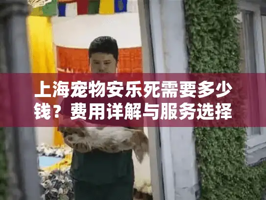 上海宠物安乐死需要多少钱？费用详解与服务选择指南