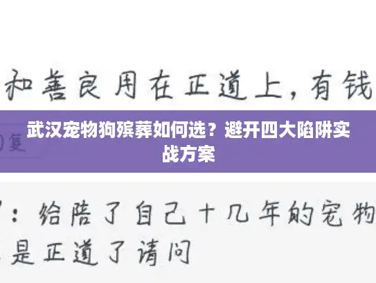 武汉宠物狗殡葬如何选？避开四大陷阱实战方案
