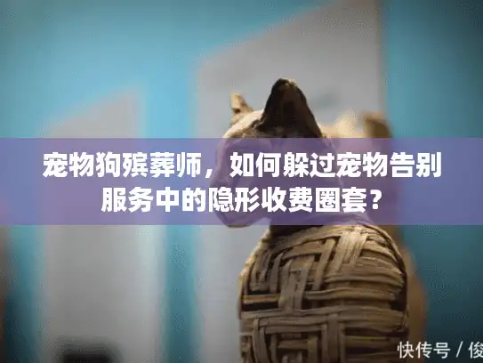 宠物狗殡葬师，如何躲过宠物告别服务中的隐形收费圈套？