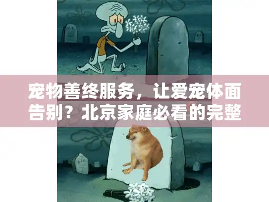 宠物善终服务，让爱宠体面告别？北京家庭必看的完整指南