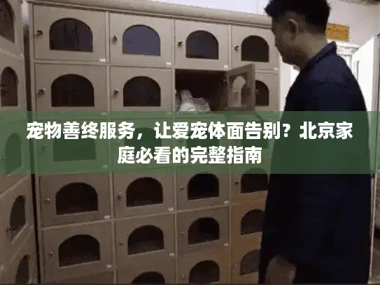 宠物善终服务，让爱宠体面告别？北京家庭必看的完整指南