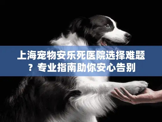 上海宠物安乐死医院选择难题？专业指南助你安心告别
