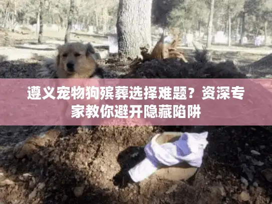遵义宠物狗殡葬选择难题？资深专家教你避开隐藏陷阱