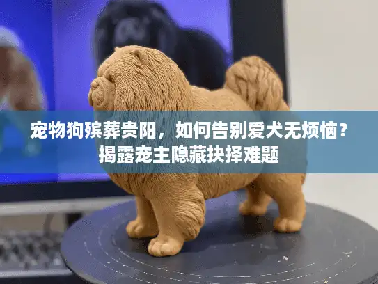 宠物狗殡葬贵阳，如何告别爱犬无烦恼？揭露宠主隐藏抉择难题