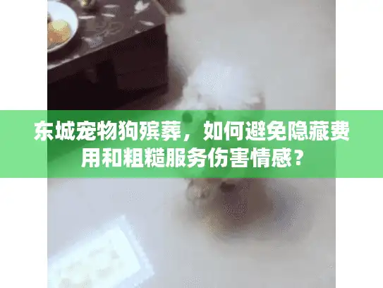 东城宠物狗殡葬，如何避免隐藏费用和粗糙服务伤害情感？