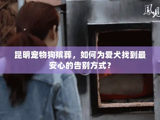 昆明宠物狗殡葬，如何为爱犬找到最安心的告别方式？