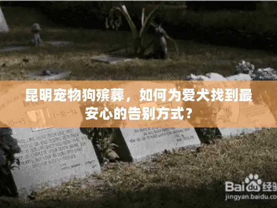 昆明宠物狗殡葬，如何为爱犬找到最安心的告别方式？