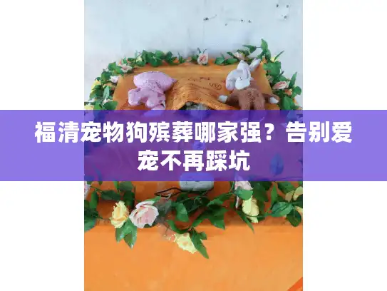 福清宠物狗殡葬哪家强？告别爱宠不再踩坑