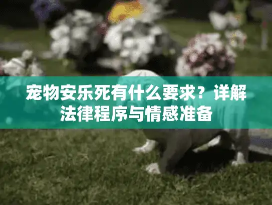 宠物安乐死有什么要求？详解法律程序与情感准备