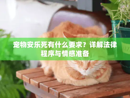 宠物安乐死有什么要求？详解法律程序与情感准备