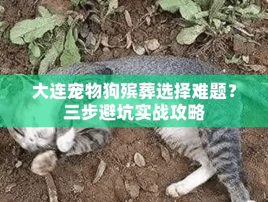 大连宠物狗殡葬选择难题？三步避坑实战攻略