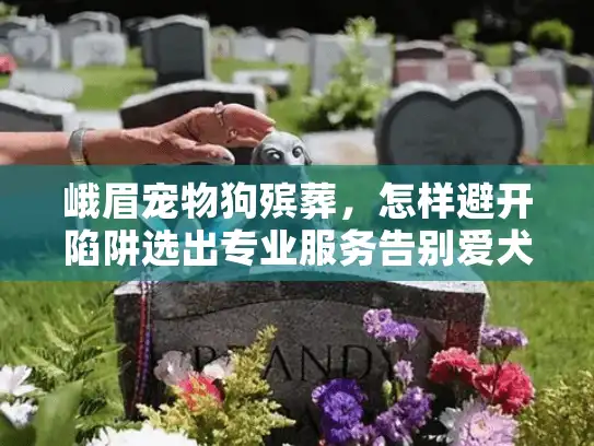 峨眉宠物狗殡葬，怎样避开陷阱选出专业服务告别爱犬？
