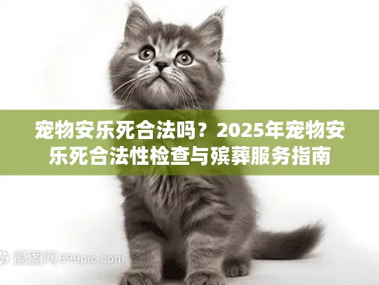 宠物安乐死合法吗？2025年宠物安乐死合法性检查与殡葬服务指南