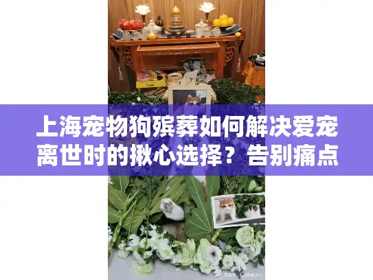 上海宠物狗殡葬如何解决爱宠离世时的揪心选择？告别痛点解析
