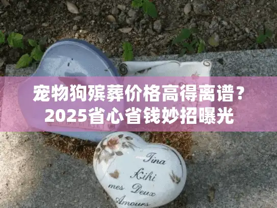 宠物狗殡葬价格高得离谱？2025省心省钱妙招曝光