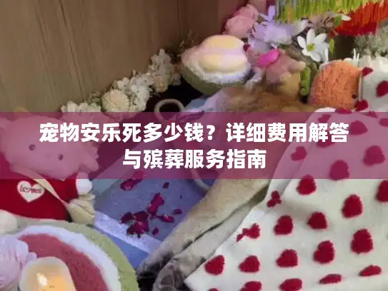 宠物安乐死多少钱？详细费用解答与殡葬服务指南
