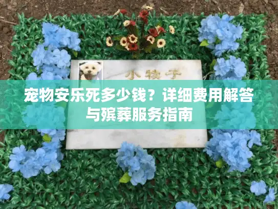 宠物安乐死多少钱？详细费用解答与殡葬服务指南