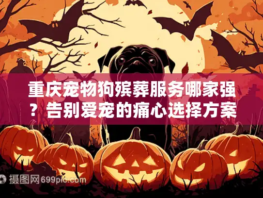 重庆宠物狗殡葬服务哪家强？告别爱宠的痛心选择方案