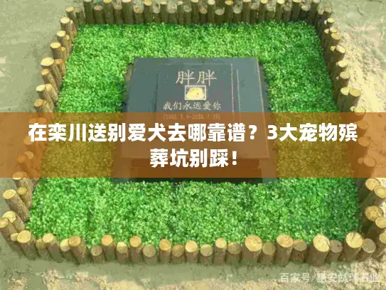 在栾川送别爱犬去哪靠谱？3大宠物殡葬坑别踩！