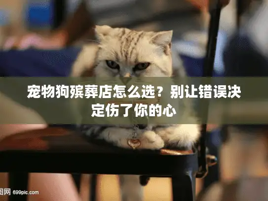 宠物狗殡葬店怎么选？别让错误决定伤了你的心