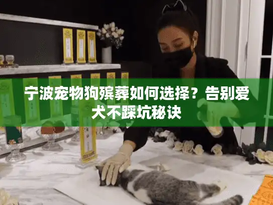 宁波宠物狗殡葬如何选择？告别爱犬不踩坑秘诀