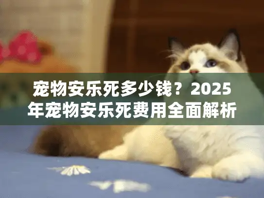 宠物安乐死多少钱？2025年宠物安乐死费用全面解析指南