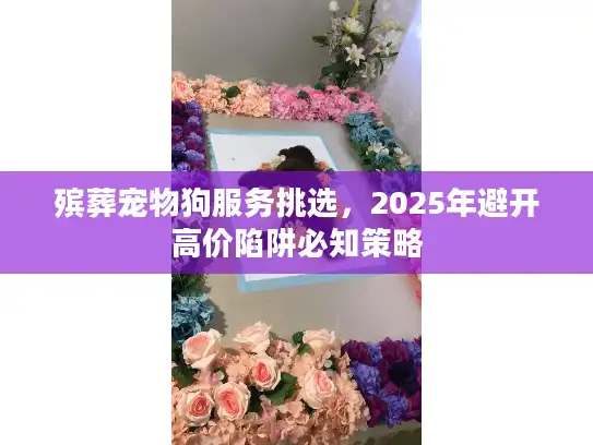 殡葬宠物狗服务挑选，2025年避开高价陷阱必知策略