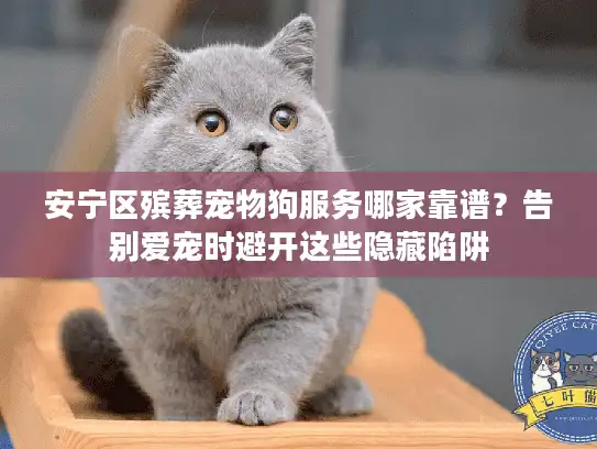 安宁区殡葬宠物狗服务哪家靠谱？告别爱宠时避开这些隐藏陷阱