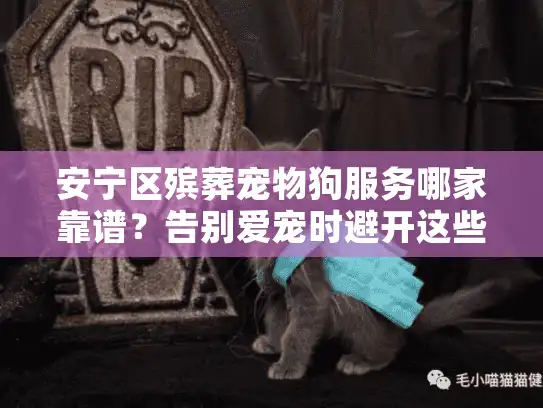 安宁区殡葬宠物狗服务哪家靠谱？告别爱宠时避开这些隐藏陷阱