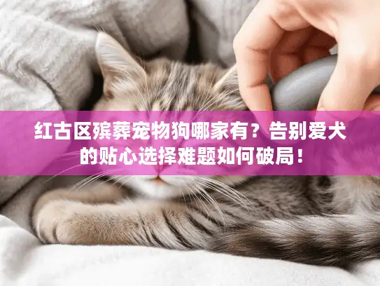 红古区殡葬宠物狗哪家有？告别爱犬的贴心选择难题如何破局！