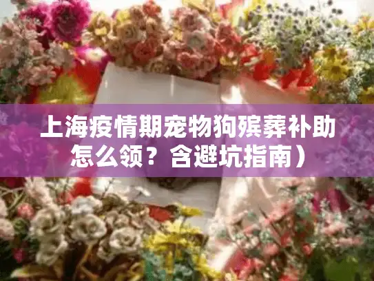 上海疫情期宠物狗殡葬补助怎么领？含避坑指南）