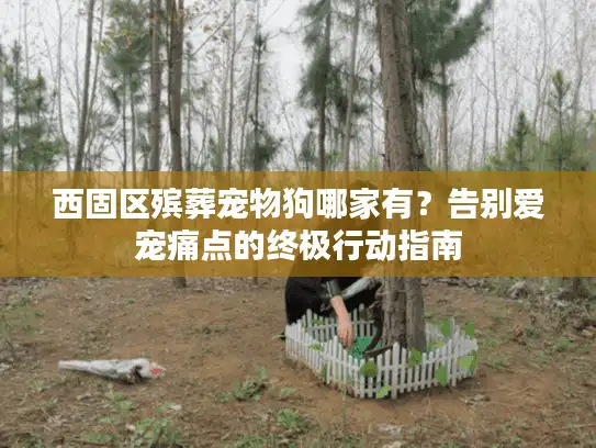 西固区殡葬宠物狗哪家有？告别爱宠痛点的终极行动指南