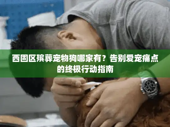 西固区殡葬宠物狗哪家有？告别爱宠痛点的终极行动指南