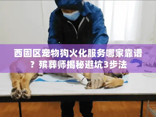 西固区宠物狗火化服务哪家靠谱？殡葬师揭秘避坑3步法