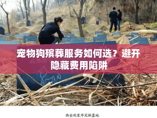 宠物狗殡葬服务如何选？避开隐藏费用陷阱