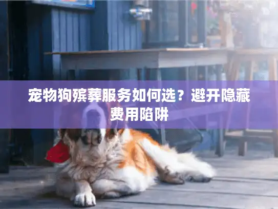 宠物狗殡葬服务如何选？避开隐藏费用陷阱