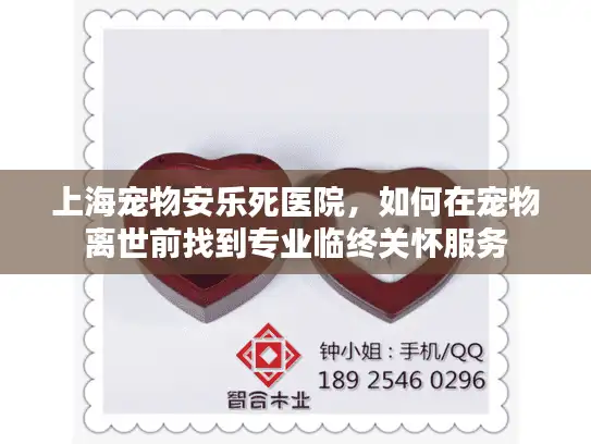上海宠物安乐死医院，如何在宠物离世前找到专业临终关怀服务