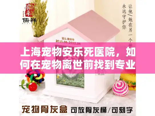 上海宠物安乐死医院，如何在宠物离世前找到专业临终关怀服务