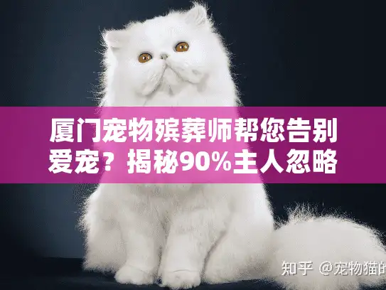 厦门宠物殡葬师帮您告别爱宠？揭秘90%主人忽略的3大告别误区