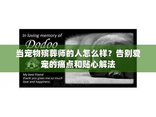 当宠物殡葬师的人怎么样？告别爱宠的痛点和贴心解法