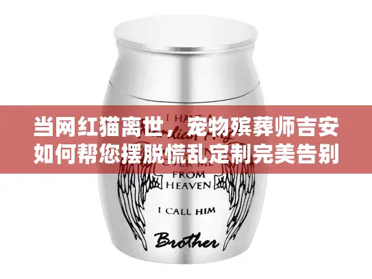 当网红猫离世，宠物殡葬师吉安如何帮您摆脱慌乱定制完美告别？