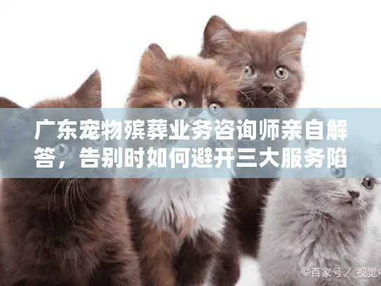 广东宠物殡葬业务咨询师亲自解答，告别时如何避开三大服务陷阱？