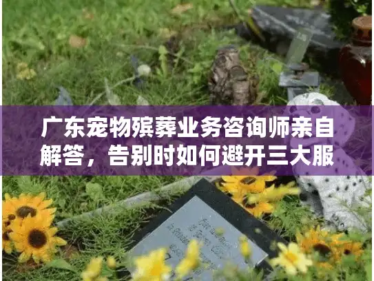 广东宠物殡葬业务咨询师亲自解答，告别时如何避开三大服务陷阱？