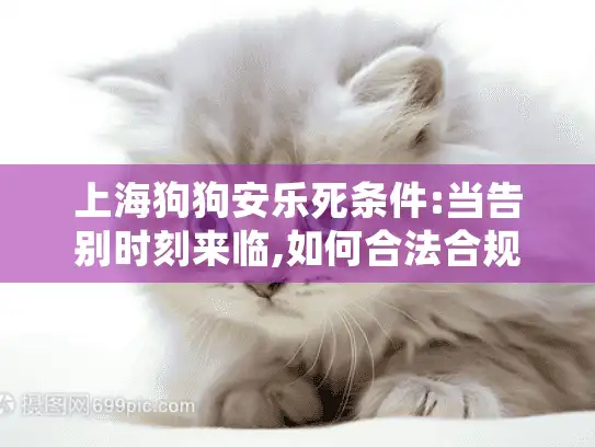 上海狗狗安乐死条件:当告别时刻来临,如何合法合规减轻宠物痛苦?