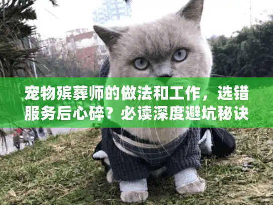 宠物殡葬师的做法和工作，选错服务后心碎？必读深度避坑秘诀